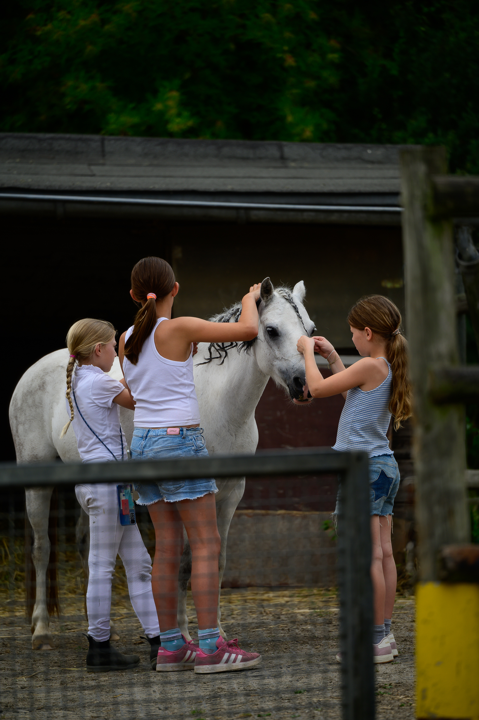 20250628-_DSC0423