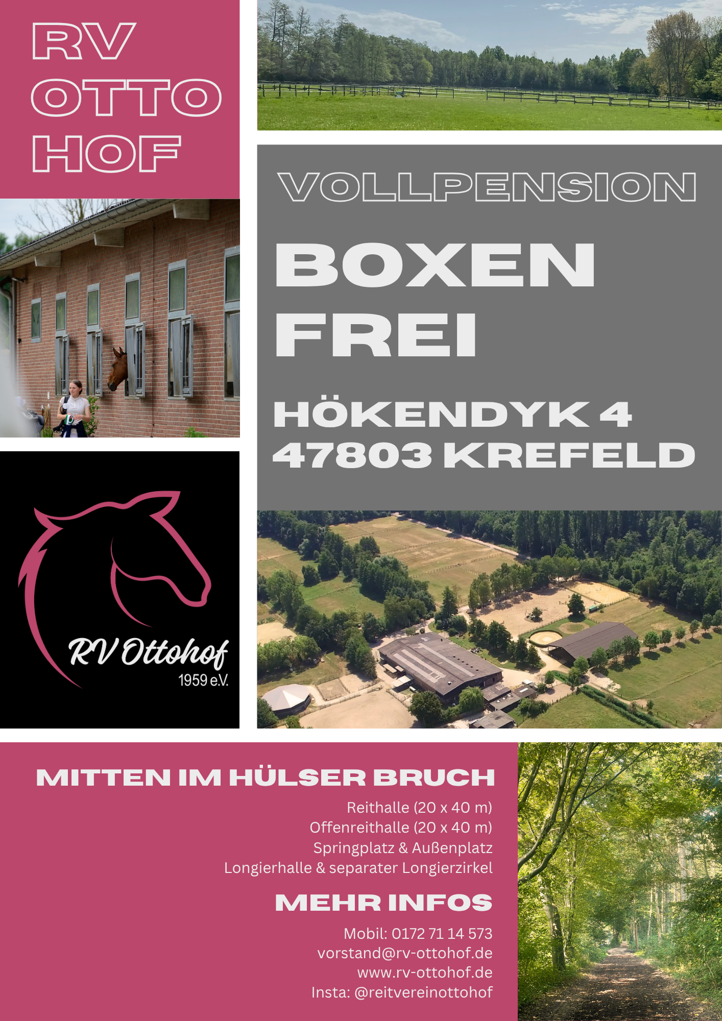 Liebevolle Pferdehaltung im Hülser Bruch 🌿 Freie Boxen mit Reithalle, Ausreitgelände & familiärer Gemeinschaft.